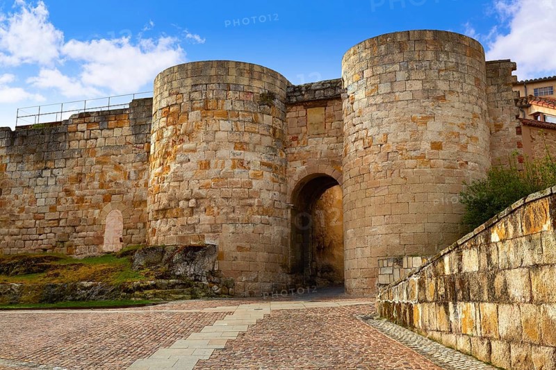 Zamora door of Dona Urraca in Spain by the via de la Plata way to Santiago