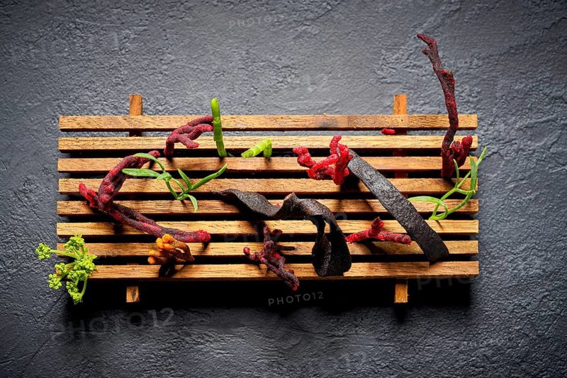 Codium seaweed salad modern cuisine with marine fennel and colorful algae