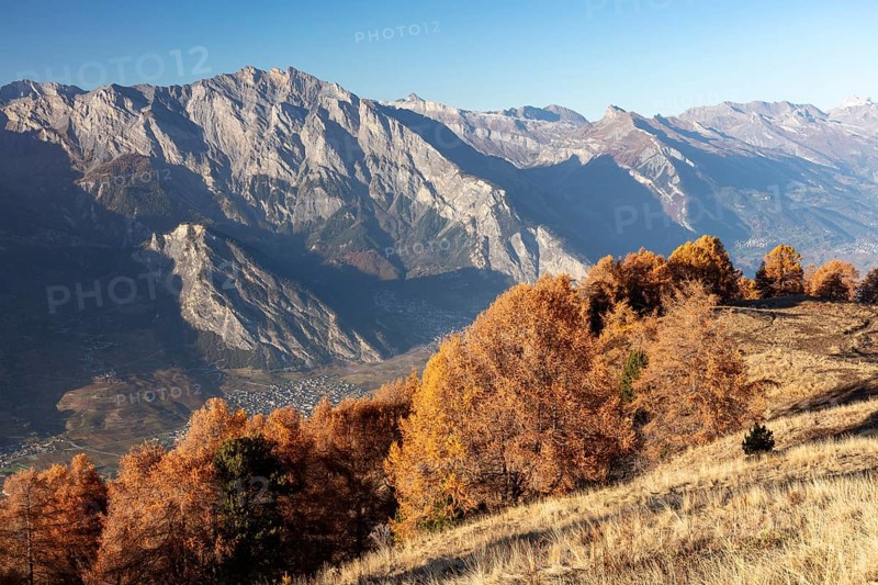 Sunset, autumnal larches, view of the Rhone valley with Saillon, La Tzoumaz, Riddes, Valais, Switzerland, Europe