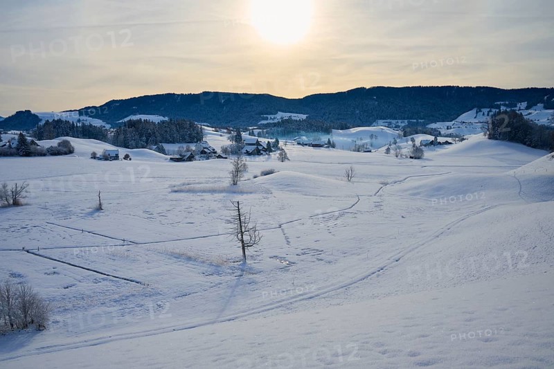 Snowy landscape with farms, rolling hills and mountains in the sunlight, Menzingen, Zug, Canton Zug, Switzerland, Europe