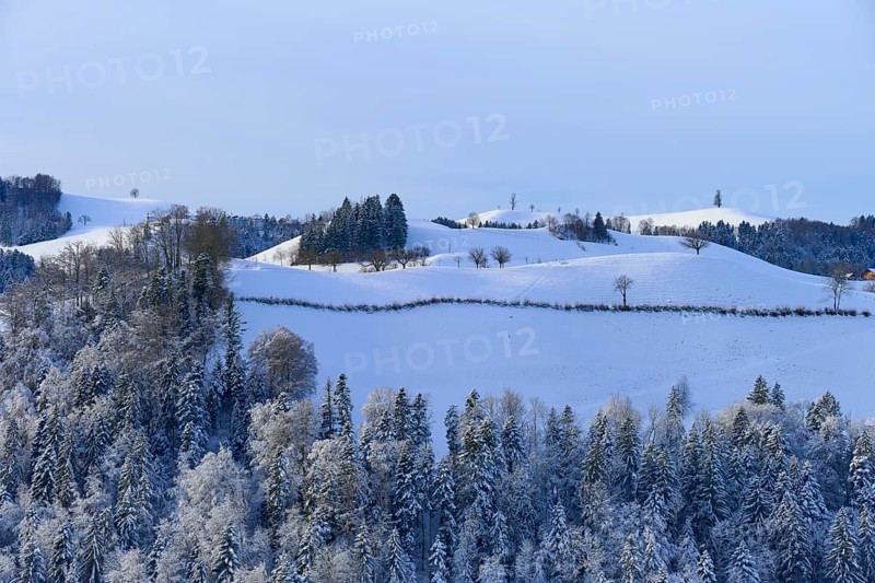 Snowy hills with trees under a clear blue sky, Schöningen, Zurich, Canton Zurich, Switzerland, Europe