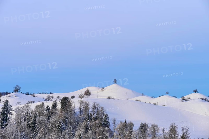 Snow-covered hilly landscape with trees against a blue sky, radiating a peaceful winter atmosphere, Schöningen, Zurich, Canton Zurich, Switzerland, Europe