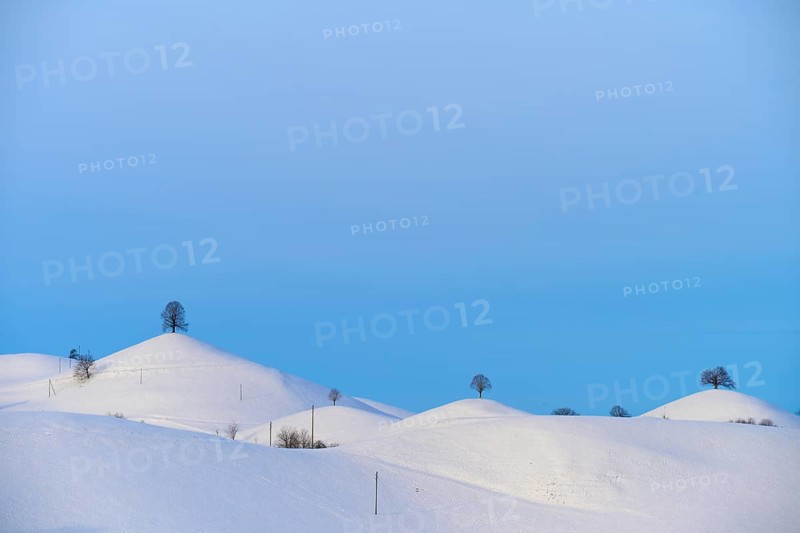 Snow-covered hills with scattered trees under a clear blue sky, Schöningen, Zurich, Canton of Zurich, Switzerland, Europe