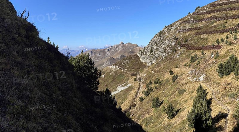 Ascent to Col des Mines, hiking trail with avalanche protection, behind Croix de Coeur, La Tzoumaz, Riddes, Valais, Switzerland, Europe