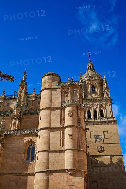 Salamanca Cathedral facade in Spain by the Via de la Plata way to Santiago