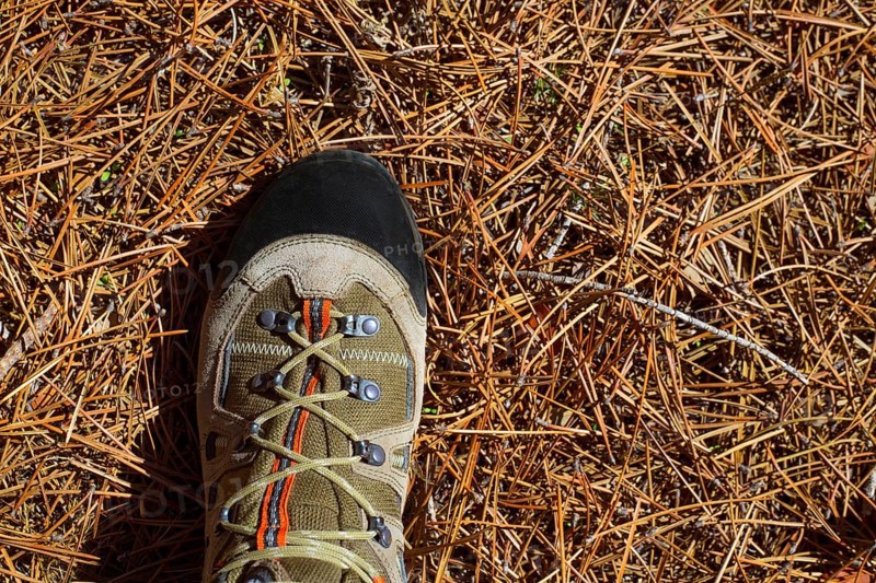 Hicker explorer feet boot detail on pine dried needles at mountain