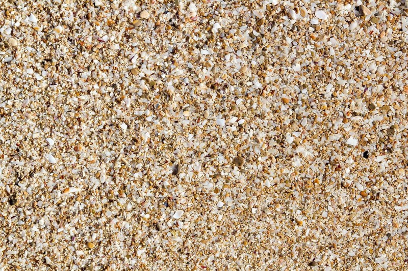 Ibiza sand macro soil texture with little cracked shell bits