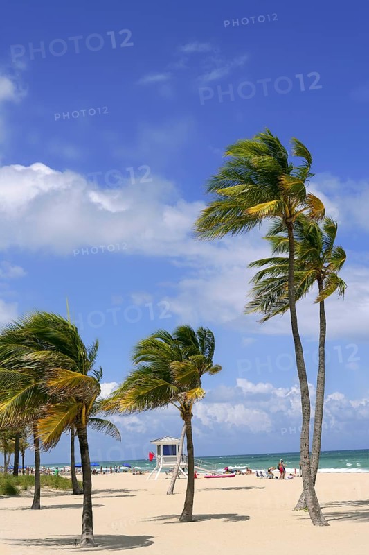 Fort Lauderdale Florida tropical beach with palm trees over blue sky