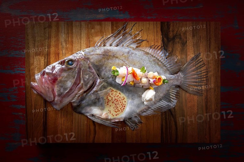Ceviche modern cuisine of San Pedro fish Zeus faber