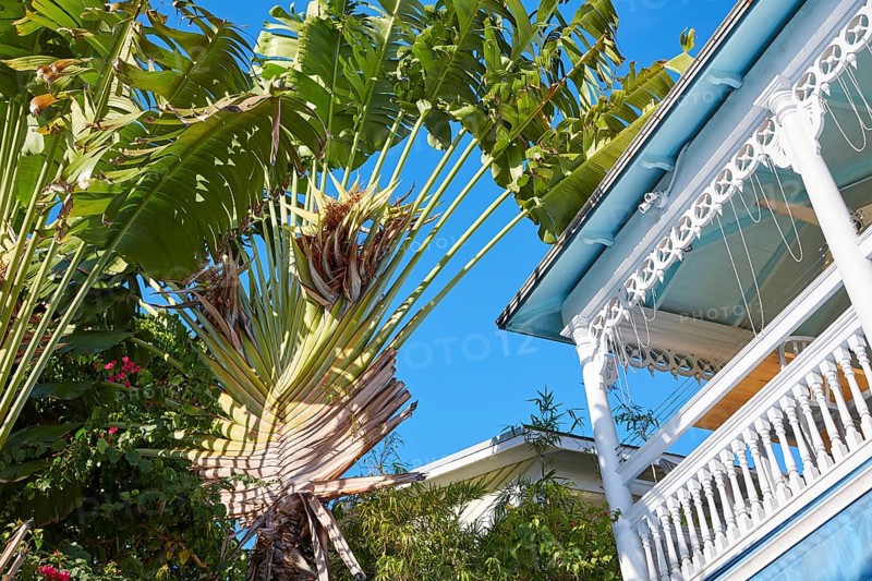 Key west downtown street houses facades in Florida USA