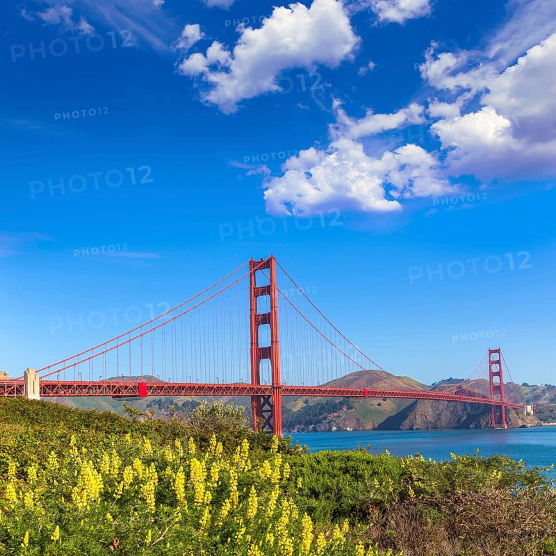Golden Gate Bridge San Francisco from Presidio in California USA