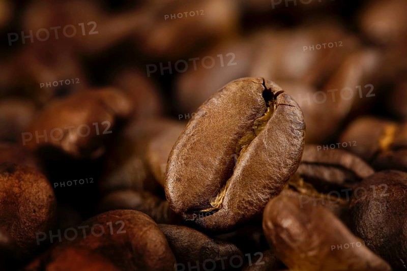 Roasted coffee beans, Vienna, Austria, Europe