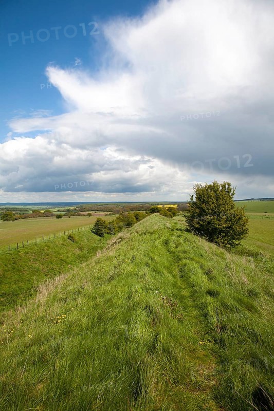Ditch and embankment of the Wansdyke a Saxon defensive structure on All Cannings chalk downs near Tan Hill, Wiltshire, England, United Kingdom, Europe