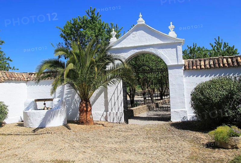Entrance to courtyard of traditional farmhouse, Cortijo Cuevas del Marques, Rio Setenil valley, Serrania de Ronda, Spain, Europe