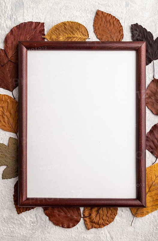 Composition with yellow and brown autumn leaves and wooden frame mockup on gray concrete background. Blank, flat lay, top view, still life, copy space