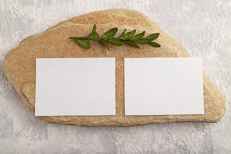 White paper business card, mockup with natural stone and boxwood branch on gray concrete background. Blank, flat lay, top view, still life, canvas, copy space