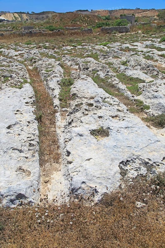Misrah Ghar il-Kbir, Clapham Junction, prehistoric cart ruts tracked over rocky limestone surface, Siggiewi, Malta, Europe