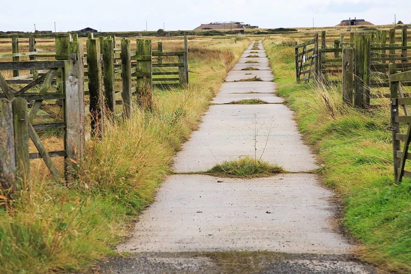 Orford Ness lighthouse Open Day, September 2017, Suffolk, England, UK, old military road crossing fields