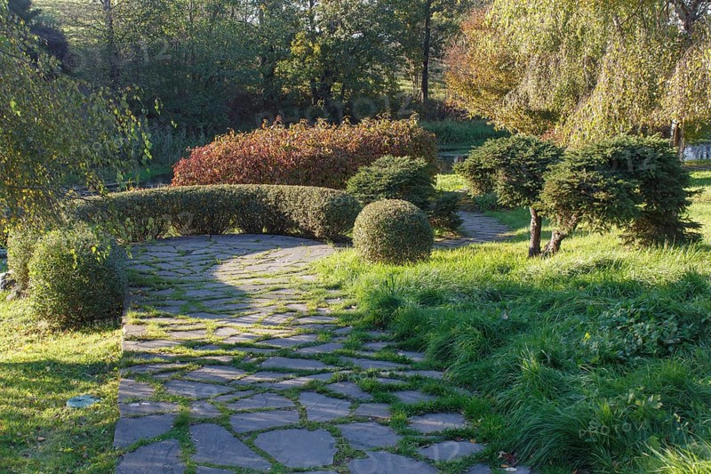 Park with green lawn, trees trimmed bushes and natural stone path in autumn. Modern landscape design