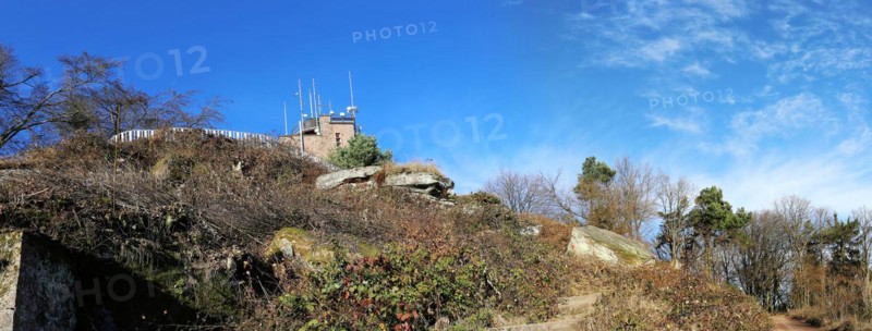 View of the summit of the Kalmit, the highest peak in the Palatinate Forest at 672 metres above sea level. In the background you can see the Kalmithaus, the hut run by the Palatinate Forest Association