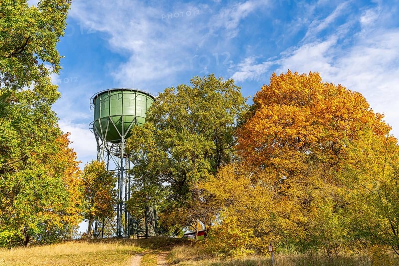 Historic water tower and trees with autumn foliage, Wiesenburg, International Art Trail, Hoher Fläming nature park Park, Brandenburg, Germany, Europe