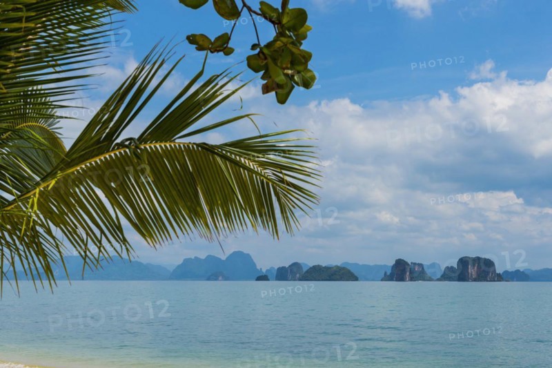 Palm beach on Koh Yao Noi, beach holiday, beach landscape, palm tree, sea, dream beach, dream holiday, holiday, travel, tourism, beach, coast, coastal landscape, tropics, tropical, tropical landscape, island, nobody, empty, lonely, beautiful weather, sun, climate, sunny, seascape, holiday mood, holiday cliché, cliché, symbolic, landscape, beach holiday, paradise, holiday paradise, paradisiacal, travel photo, untouched, Phangnga, Thailand, Asia