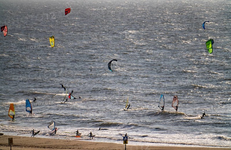 Kitesurfers and windsurfers in strong winds on the beach of Scheveningen, The Hague, Netherlands