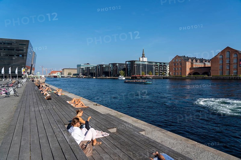 Summer, swimming in the harbour of Copenhagen, there are official bathing places, harbour baths and lidos in many places, here at the Black Diamond, Danish Royal Library, Denmark, Europe
