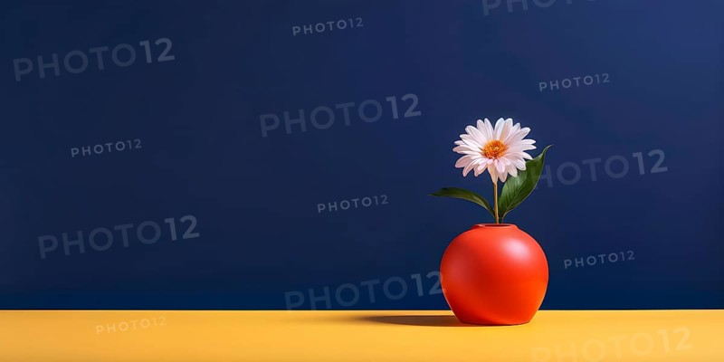 Minimalist ceramic vase composition with a single flower, AI generated
