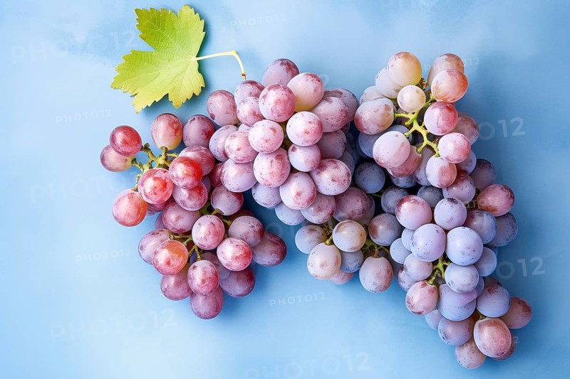 Bunch of red grapefruits on blue background. KI generiert, generiert AI generated