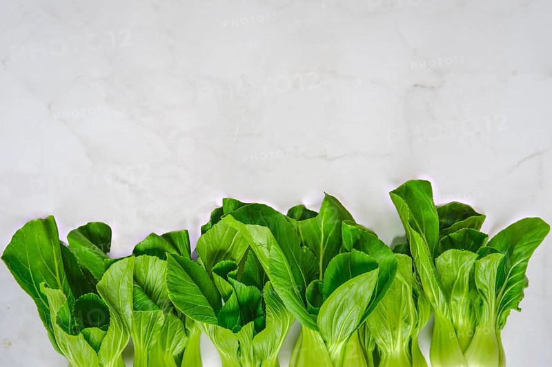 A vibrant display of fresh bok choy sits neatly aligned on a marble countertop. The greens shine under natural light, showcasing their crisp texture and healthy appearance, perfect for cooking.