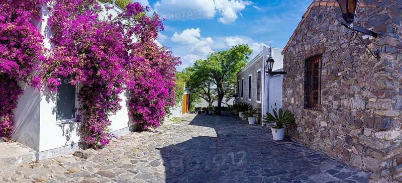 Uruguay, colonial streets of Colonia Del Sacramento in historic center of Barrio Historico, South America