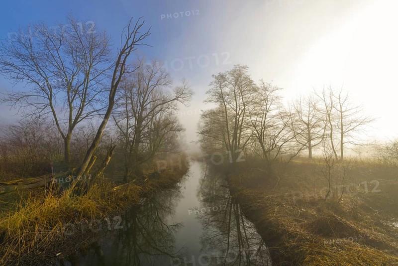 River in a Foggy Forest with Bare Tree and Sunlight in Locarno, Ticino, Switzerland, Europe