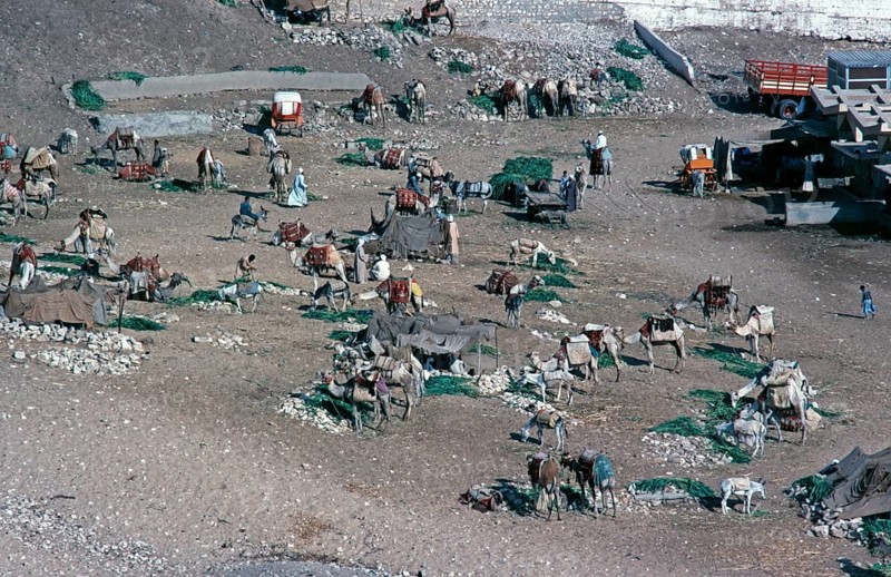 Caravanserai at Mena House Hotel, Giza, Cairo, Egypt, September 1989, vintage, retro, old, historic, Africa
