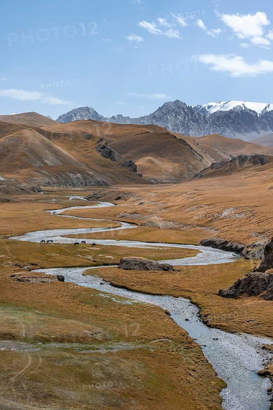River Kol Suu winds through a mountain valley with hills of yellow grass, Naryn Province, Kyrgyzstan, Asia
