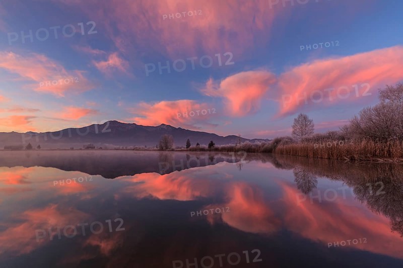 Cloudy mood, dawn, mountains reflected in lake, winter, hoarfrost, Loisach-Lake Kochel moor, behind Herzogstand, Heimgarten, Bavaria, Germany, Europe