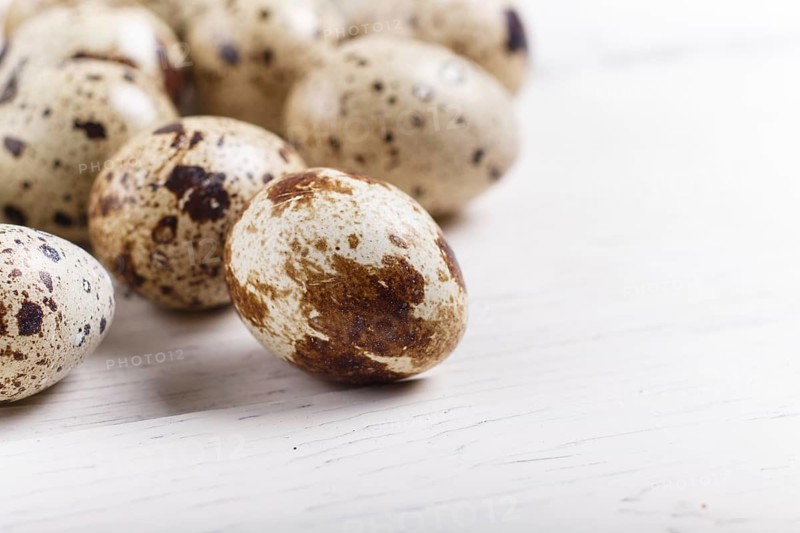 Raw quail eggs on a white wooden background. with copy space