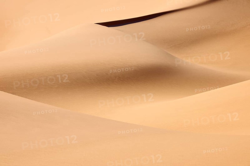 Soft, undulating sand dunes with gentle, natural colours in a desert landscape, Matruh, Great Sand Sea, Libyan Desert, Sahara, Egypt, North Africa, Africa