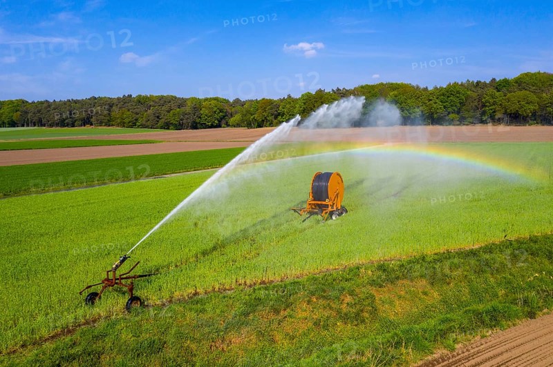 Irrigation of a wheat field on the Lower Rhine, with a mobile irrigation machine, large-area sprinkler