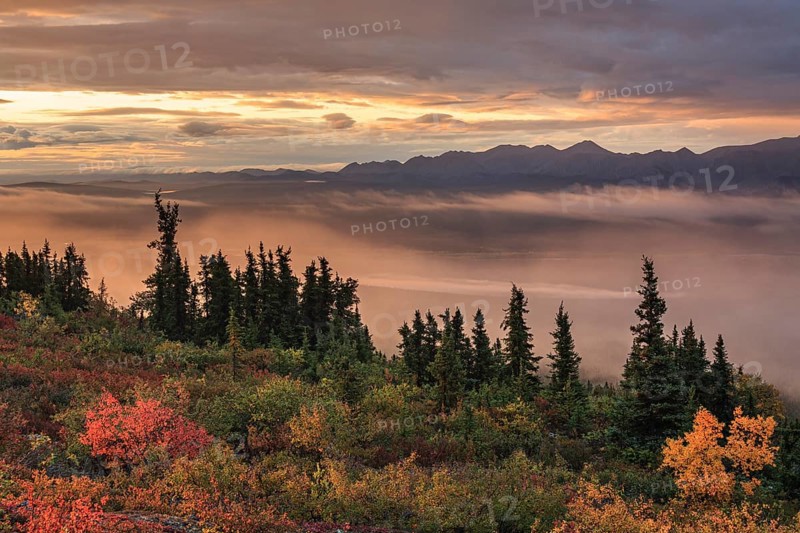 Morning light, cloudy mood, fog, autumnal tundra, autumn colours, wilderness, mountain landscape, Ogilvie Mountains, Dempster Highway, Yukon, Canada, North America