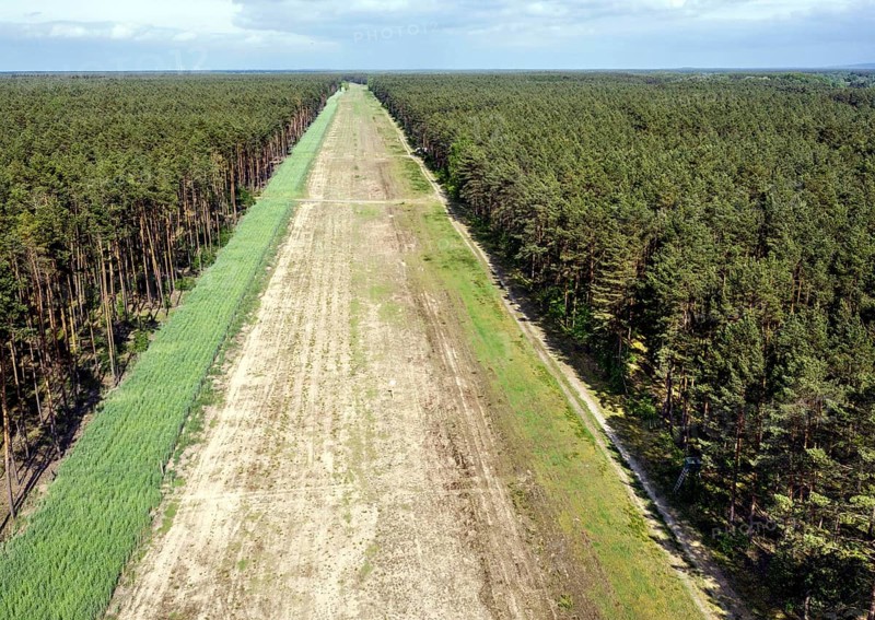 A path in the forest shows the route of the EUGAL pipeline. Hydrogen could be transported via the pipeline in the future, Grünheide, 16 05 2023