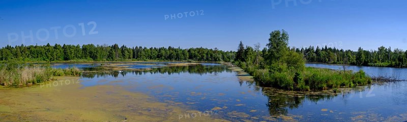 Am Torfwerk, Pfrunger-Burgweiler Ried nature reserve, Wilhelmsdorf, Baden-Württemberg, Germany, Europe