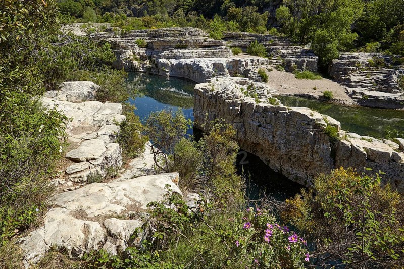 Limestone cliffs with Cistus creticus and the river Cèze near La Roque-sur-Cèze, Gard department, Occitanie region, France, Europe