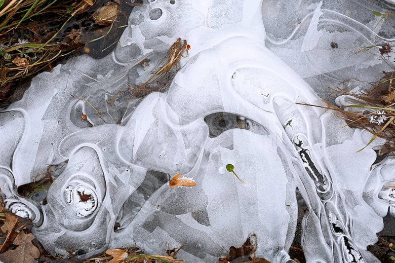 Winter flood 2024 on the rivers Elbe and Mulde with flooding of the meadows, close-up of ice structures on the meadows due to flooding in winter, bizarre ice formations, Middle Elbe Biosphere Reserve, Dessau-Roßlau, Saxony-Anhalt, Germany, Europe