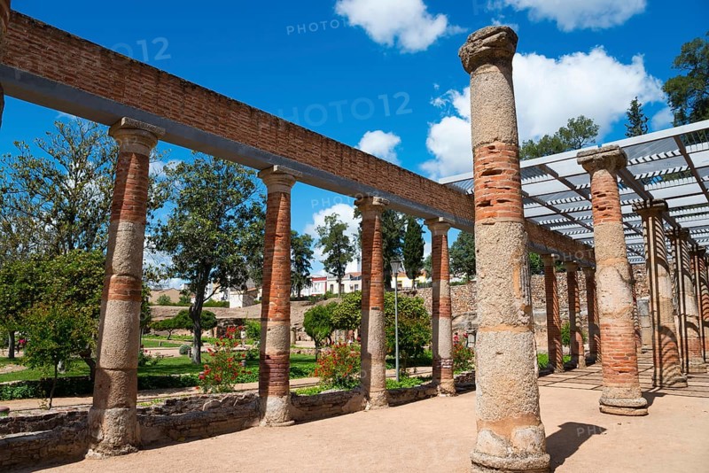 Ancient row of columns in a ruined site, surrounded by nature and under a clear sky, Mérida, Merida, Badajoz, Extremadura, Spain, Europe