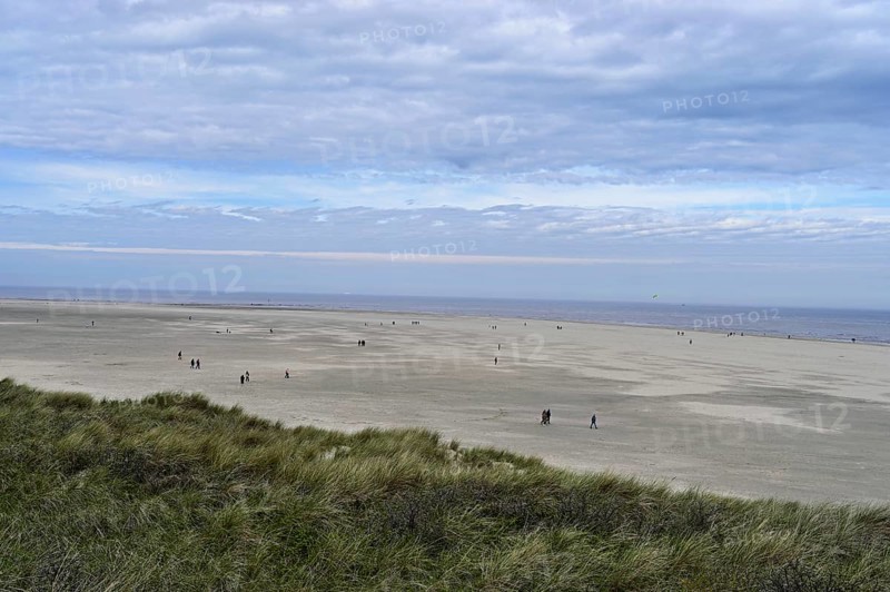People on the beach, De Cocksdorp, Texel, West Frisian Island, Province of North Holland, Netherlands Netherlands