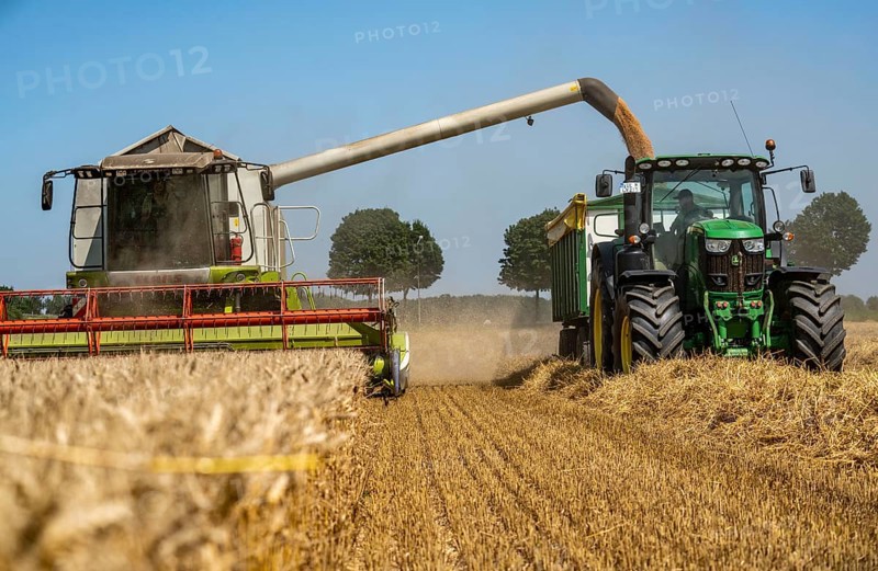 Agriculture, grain harvest, wheat, combine harvester harvesting in a wheat field, grain tank being emptied into a trailer, near Niederkrüchten, North Rhine-Westphalia, Germany, Europe