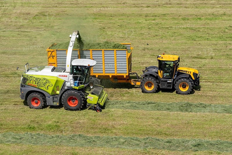 Hay harvest, on a Rhine meadow near Duisburg-Beeckerwerth, a forage harvester picks up the cut grass, which was piled up in strips after cutting, and loads it into a silage wagon, cattle feed, North Rhine-Westphalia, Germany, Europe