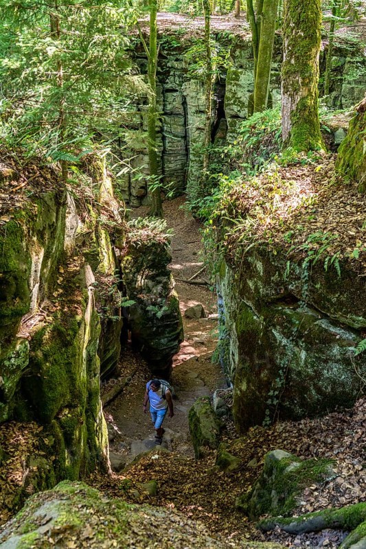 The Devil's Gorge, narrow, accessible gorge of sandstone rocks, with steep rocky gorges, near Irrel, Southern Eifel nature park Park, Rhineland-Palatinate, Germany, Europe