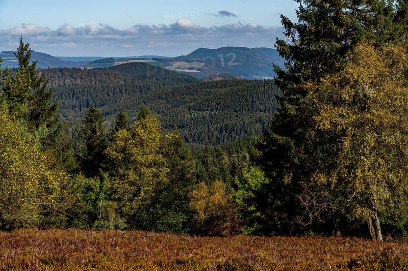 View from Kahlen Asten mountain, to the north, forest landscape in Hochsauerlandkreis, Hochheide, North Rhine-Westphalia, Germany, Europe